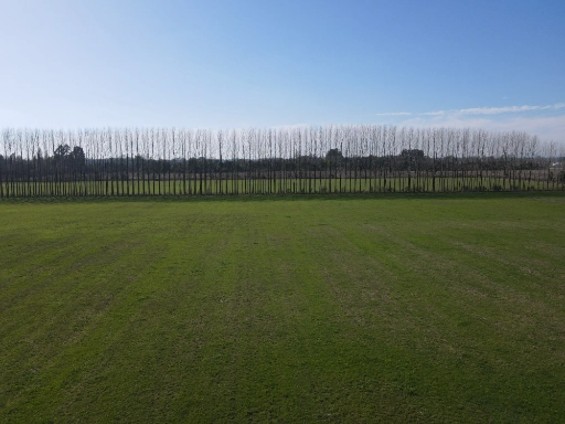 dji_fly_20230805_142936_303_1691260714708_photo