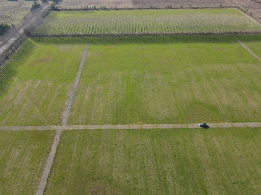 dji_fly_20230805_143030_305_1691260673350_photo