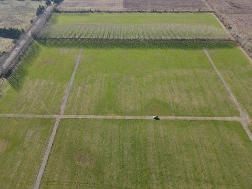 dji_fly_20230805_143044_306_1691260671359_photo