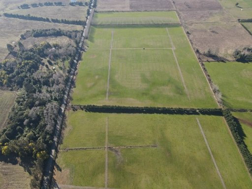 dji_fly_20230805_143124_308_1691260667625_photo