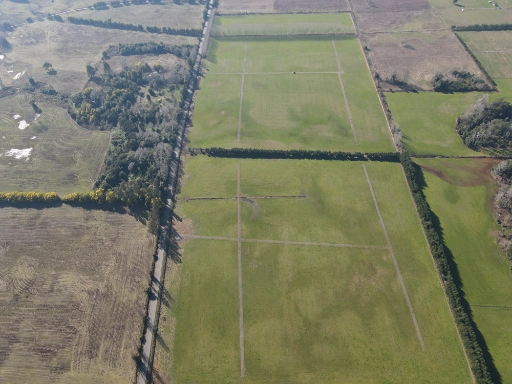 dji_fly_20230805_143144_309_1691260665926_photo